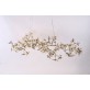 AM1220 BLOSSOM LINEAR
